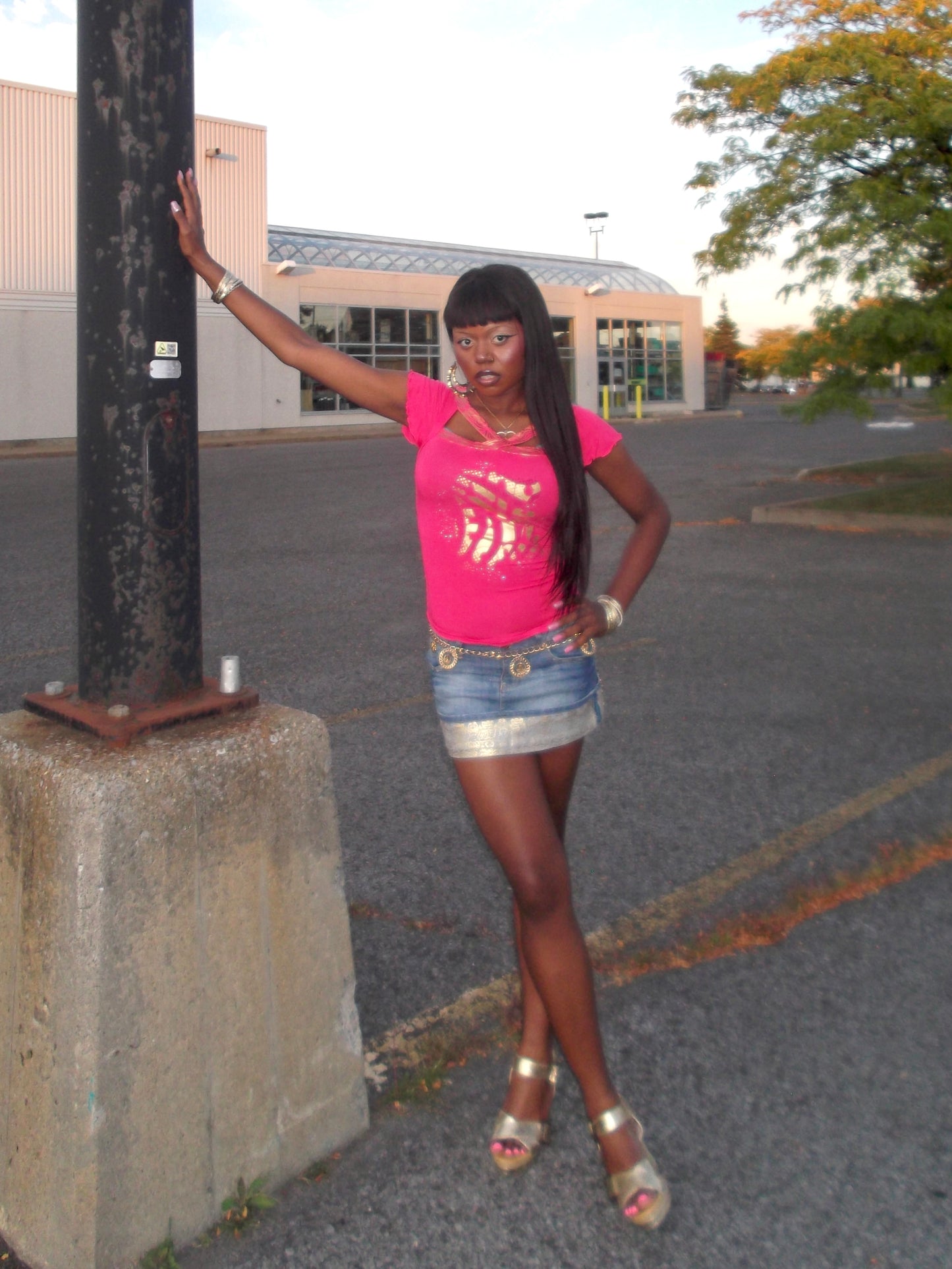 Video Vixen Style Bundle